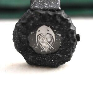 Cooper's Watchworks Rare Fossil Face Black/White Silicone Band New Battery Watch